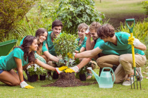 800px happy friends gardening for the community on a sun P89KQG8 Diversity Community Care | NDIS Provider 12